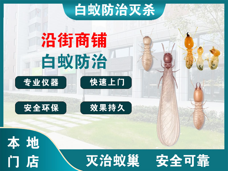 萧山沿街商铺白蚁防治