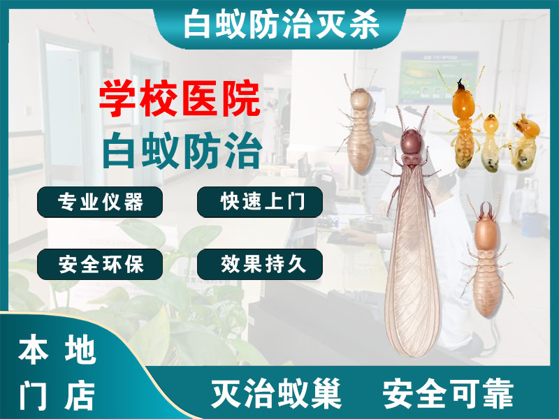 萧山学校医院白蚁防治