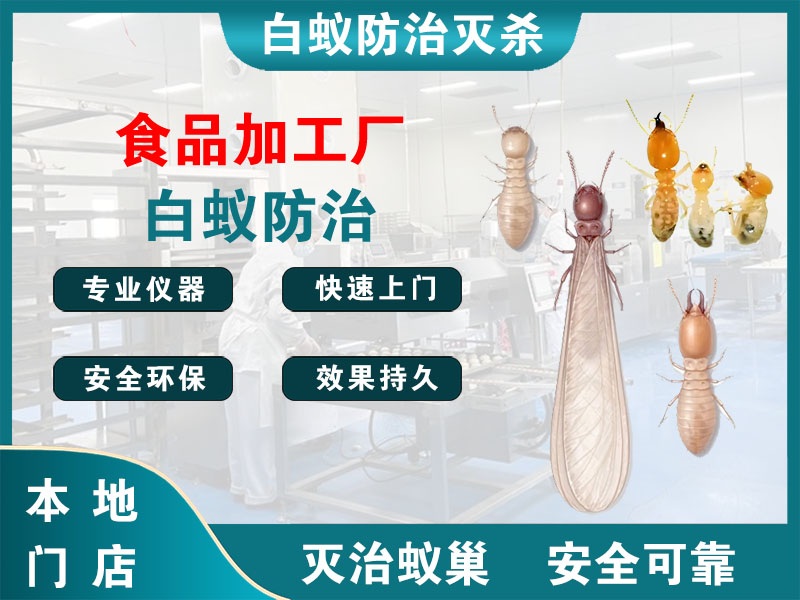 萧山食品加工厂白蚁防治