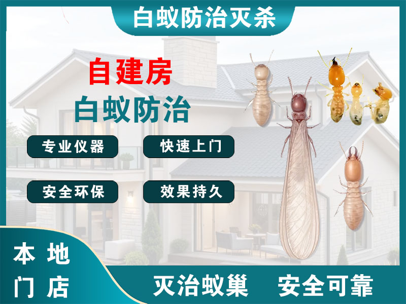 萧山自建房白蚁防治