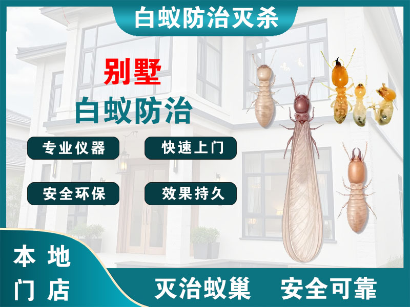 萧山别墅白蚁防治