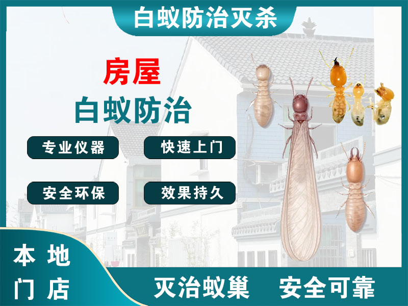 萧山房屋白蚁防治